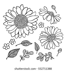 Sunflower. Floral print. Flowers and leaves. Isolated vector objects on white background.