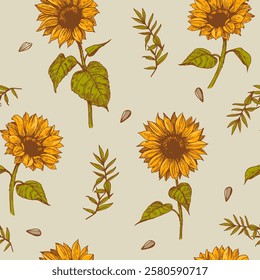 Sunflower, floral seamkess pattern, realistic hand drawing, vector illustration, engraving style