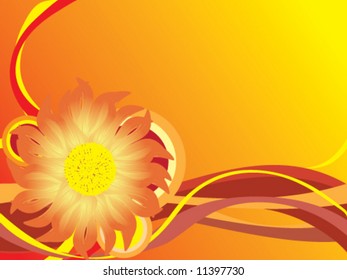 Sunflower floral vector illustration