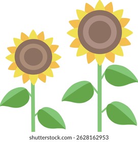 Sunflower flower 2 flowers vector illustration