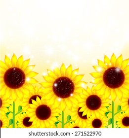 Sunflower flower background