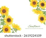 Sunflower flower background frame material painted with transparent watercolor