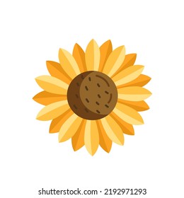 Sunflower flower in cartoon style. Vector isolated floral illustration on the background.