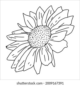 sunflower. flower contour. coloring.  vector eps 10