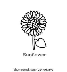 Sunflower flower. Doodle vector hand drawn line sketch. Floral illustration for coloring book
