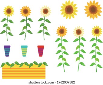 Sunflower Flower and Flowerpot Icons Web graphics