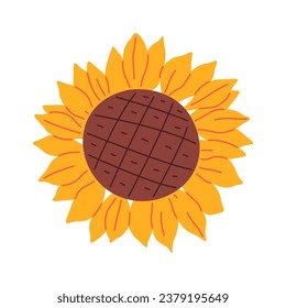Sunflower Flower Head Vector Illustration