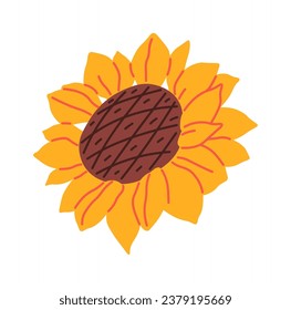 Sunflower Flower Head Vector Illustration