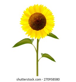 Free Free 300 Clipart Sunflower Stem SVG PNG EPS DXF File