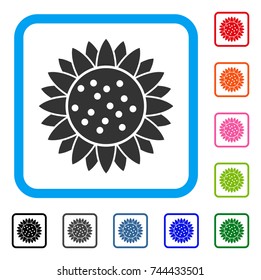 Sunflower Flower icon. Flat gray iconic symbol inside a blue rounded rectangular frame. Black, gray, green, blue, red, orange color versions of Sunflower Flower vector.