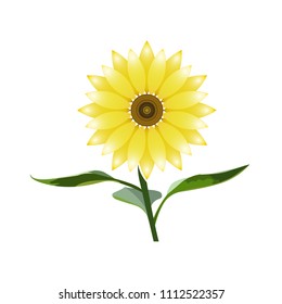 Sunflower flower icon with stem and three leaves, vector.