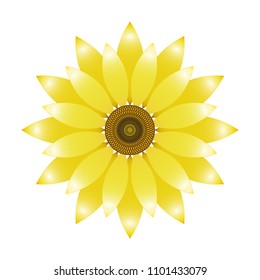 Sunflower flower, icon, vector.