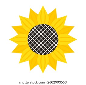 Sunflower flower illustration isolated on white background. Vector art design element.