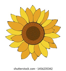Sunflower Flower Isolated, Vector Illustration. Nature Background