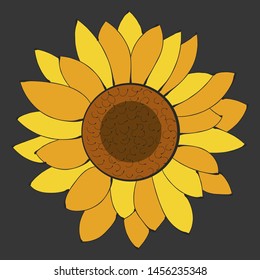 Sunflower Flower Isolated, Vector Illustration. Nature Background