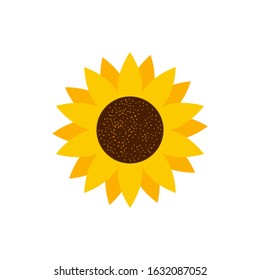 Sunflower flower isolated, vector illustration isolated on the white background