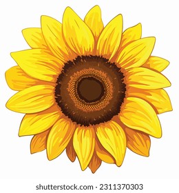 Sunflower flower isolated, vector illustration.
