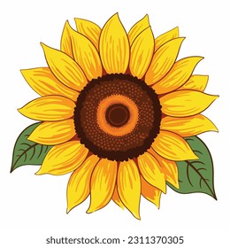 Sunflower flower isolated, vector illustration.
