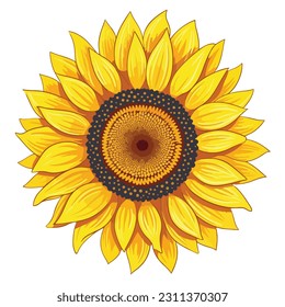 Sunflower flower isolated, vector illustration.
