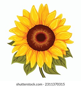 Sunflower flower isolated, vector illustration.
