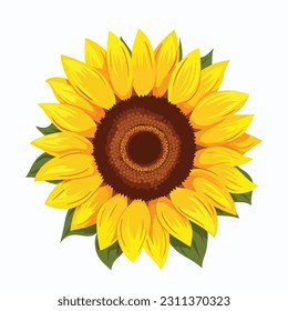 Sunflower flower isolated, vector illustration.
