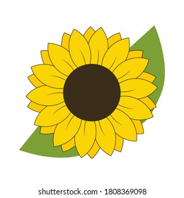 Sunflower flower with leaves vector isolated illustration