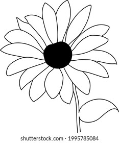 Sunflower flower line art back and white design, abstract,beautiful vector, isolated illustration 