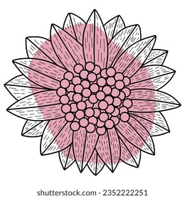 Sunflower flower line with shape. Vector illustration with flower theme. Suitable for wedding invitation, aesthetic decoration, social media post, banner, promotion, advertising, etc.