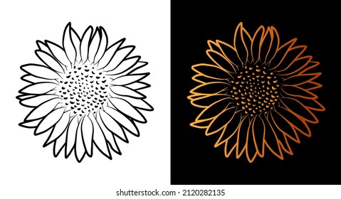 Sunflower flower outline icon, simple doodle sketch line art style, black and gold floral botany set. Beauty elegant logo design. Graphic isolated symbol drawing. Flat shape, wedding tattoo card.