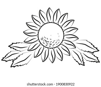 Free Free 281 Outline Simple Sunflower Clipart SVG PNG EPS DXF File