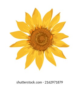 Sunflower flower ring. Hand drawn sketch. Watercolor effect  vector illustration. 
