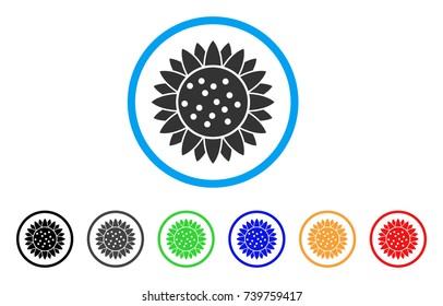 Sunflower Flower rounded icon. Style is a flat grey symbol inside light blue circle with additional color versions. Sunflower Flower vector designed for web and software interfaces.