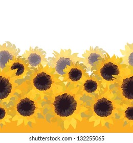 Sunflower flower seamless background.