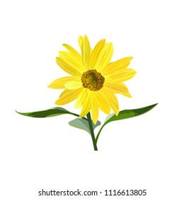 Sunflower flower with stem and three leaves, icon, vector.