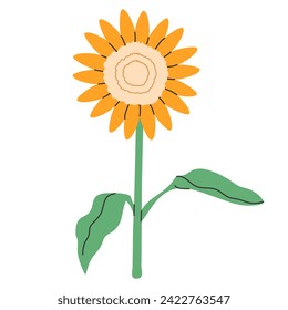 Sunflower flower with stems and leaves isolated on a white background. Cute art element. Summer plant with yellow petals drawn in doodle style.Vector illustration EPS10