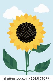 Sunflower flower. Vector color illustration.
