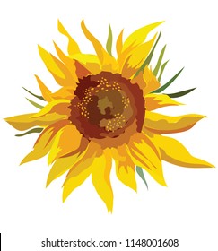 Sunflower flower. Vector colorful illustration isolated on white background.