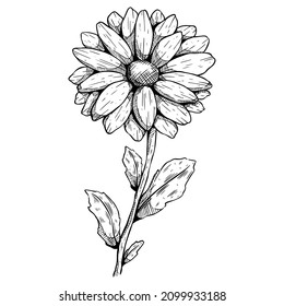 521 Sketchy sunflower Images, Stock Photos & Vectors | Shutterstock