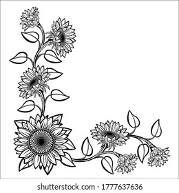 Sunflower flower vector drawing. Isolated on white background