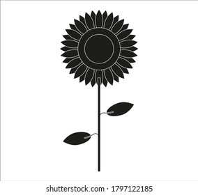 sunflower flower vector. illustration for web and mobile design.