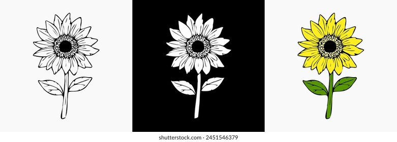 Sunflower Flower vector on white isolated background. beautiful botanical illustration. Decorative floral silhouette.