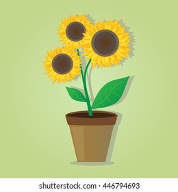 Sunflower in Flowerpot. Vector Illustration