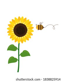 Sunflower and flying bee cartoon icon sign on white background vector illustration. 