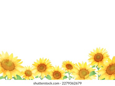 Fondo del marco del girasol pintado con acuarela.