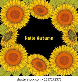 Sunflower frame. Sunflower hand drawn collection. Colorful illustration. Isolated collection 