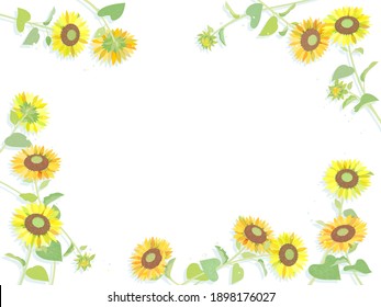 Sonnenblume, Rahmen auf weißem Hintergrund