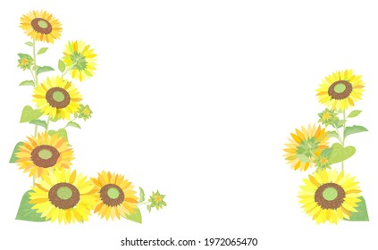 Sunflower frame on white background
