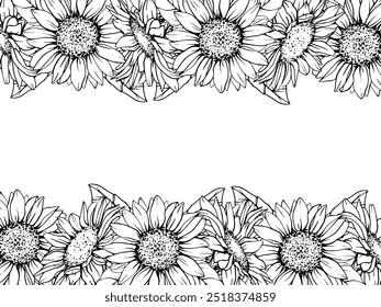 Sunflower Frame. Vector Flower arrangement drawing in line art style. Botanical illustration of chamomile painted by black inks. Hand Drawn Bouquet of daisies. Graphics element outline