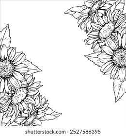 Sunflower Frame. Vector Flower arrangement drawing in line art style. Botanical illustration of chamomile painted by black inks. Hand Drawn Bouquet of daisies. Graphics element outline