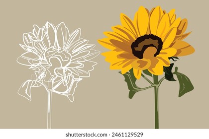 Sonnenblume volle Farbform und eine Sonnenblume weiße Linie Form